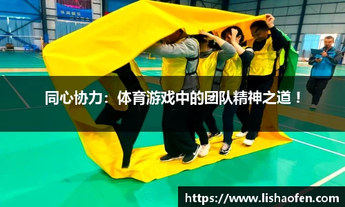 同心协力：体育游戏中的团队精神之道 !