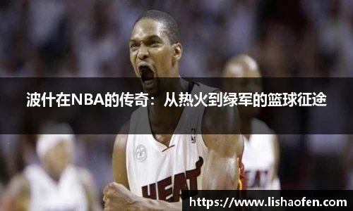 波什在NBA的传奇：从热火到绿军的篮球征途