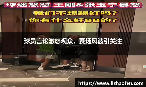 球员言论激怒观众，赛场风波引关注